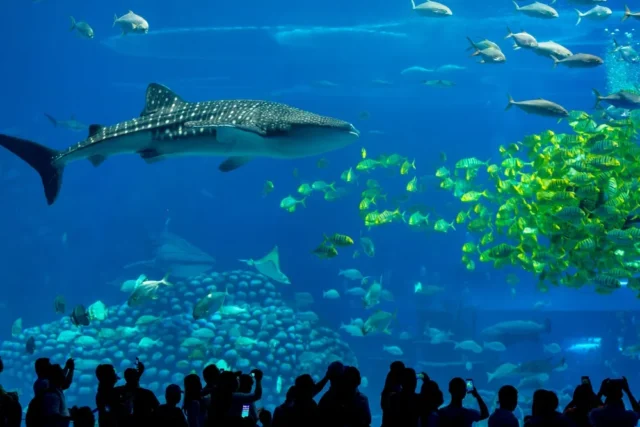 Aquariums in the World