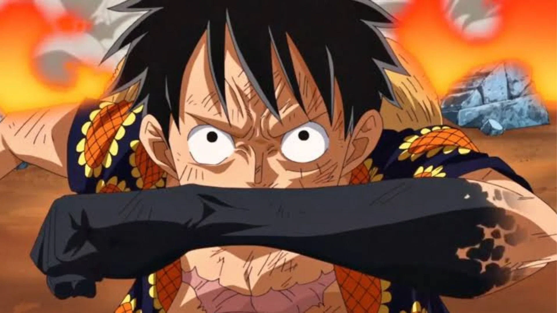 When does Luffy learn Haki in One Piece?